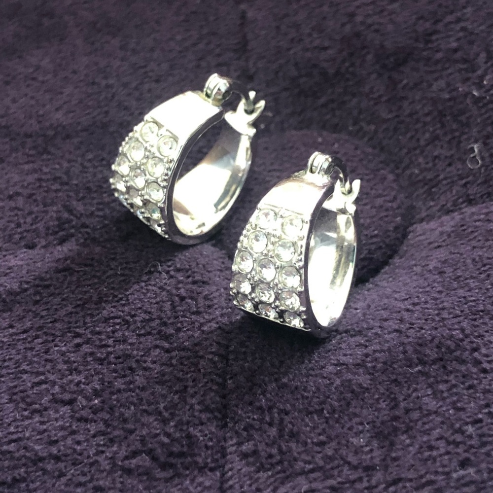 COPY - Touchstone Crystal Huggie earrings.